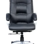 Executive Chair in Black Colour by Adiko Systems